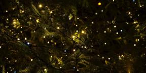 6 Christmas traditions that have come to us from paganism