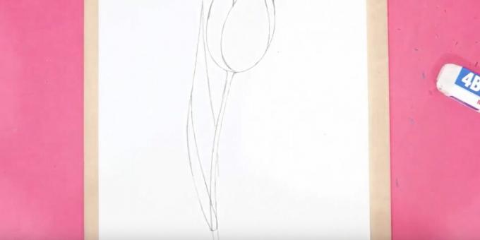 How to draw a tulip: draw the stem and the left leaf