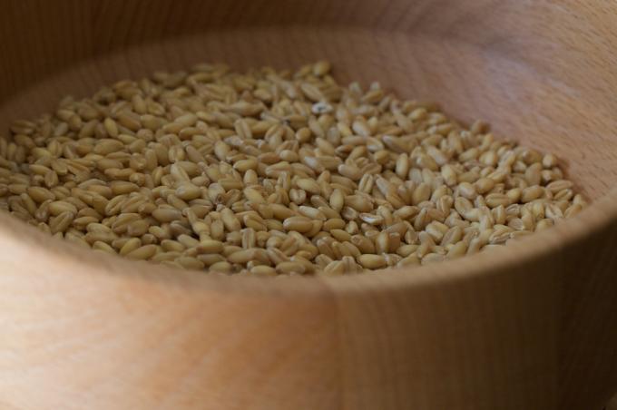 healthy foods: whole grains