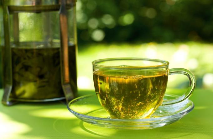 Habits that will help lose weight: drink green tea