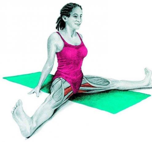 Anatomy of stretching: transverse crease ahead