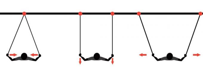 loops for training: training options hinged