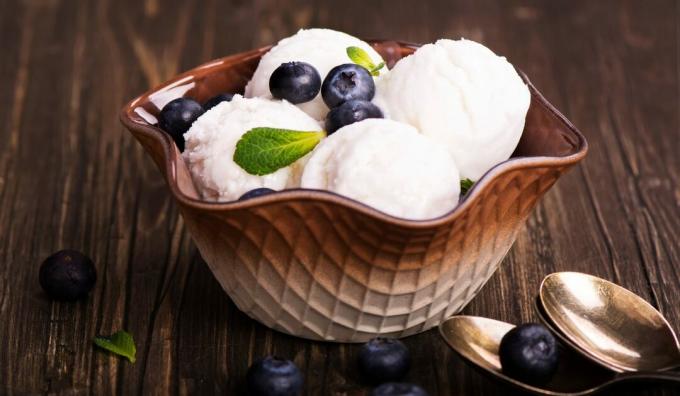 Vanilla milk ice cream