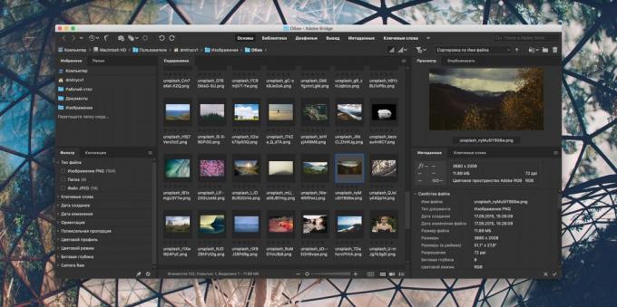 How to organize a collection of photos: Adobe Bridge