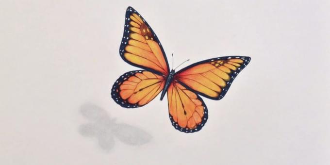 How to draw a realistic butterfly markers and colored pencils