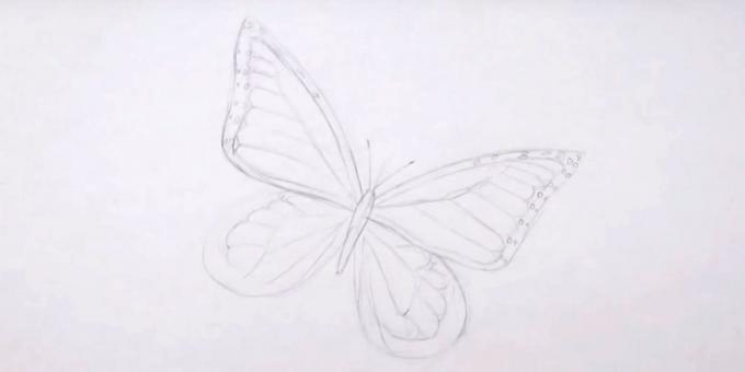 Draw the pattern on the lower wings