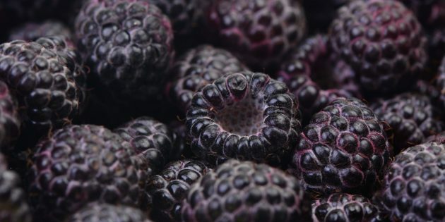 Black raspberries and blackberries