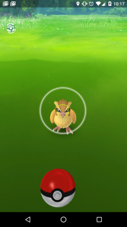 where and how to look for Pokemon in Pokemon Go