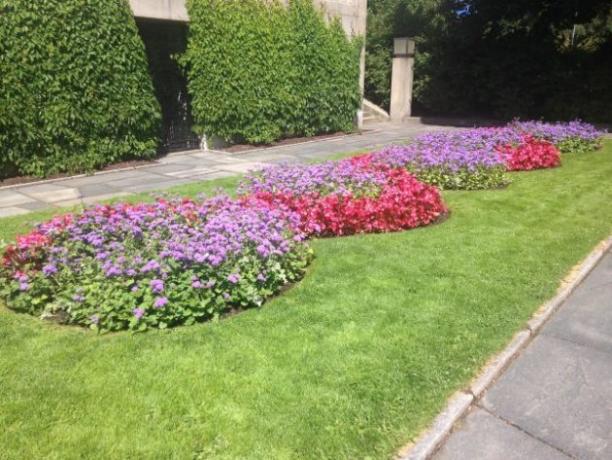 How to make a flower bed with his hands