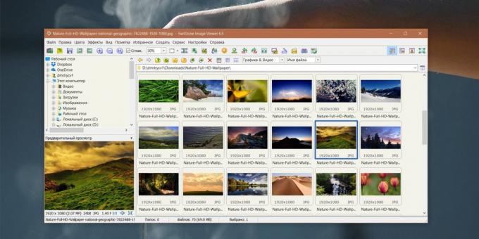 How to organize a collection of photos: FastStone Image Viewer