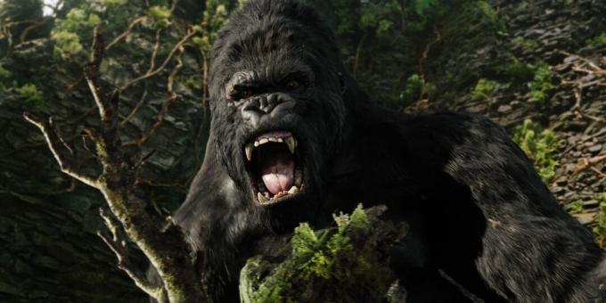 Still from the movie about the jungle "King Kong"