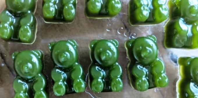 Gummi bears tastefully kale cabbage