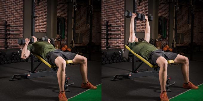 The training program: Dumbbell bench press on an incline bench
