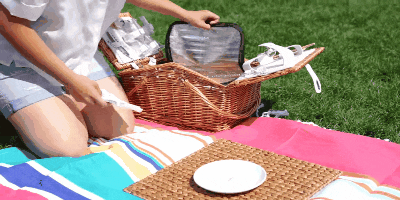 What to bring on a picnic: basket products