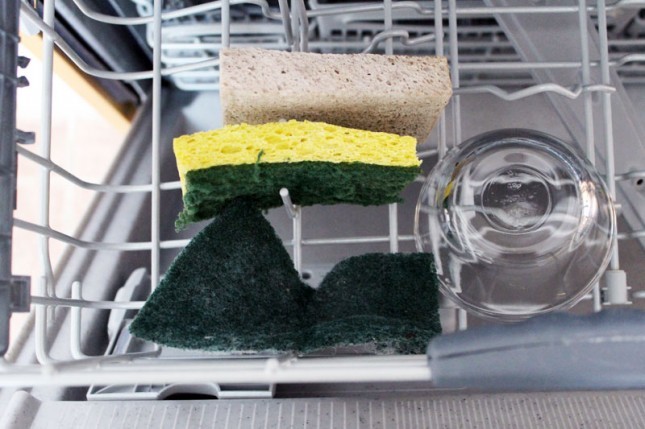 How to use a dishwasher: washing sponge