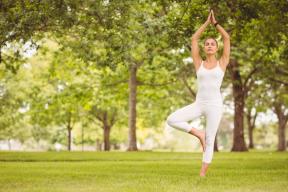 Physics balance in yoga. Part 1: Alignment