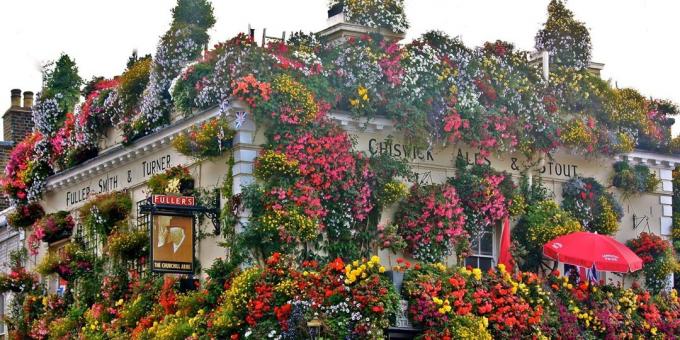 London attractions: The Churchill Arms