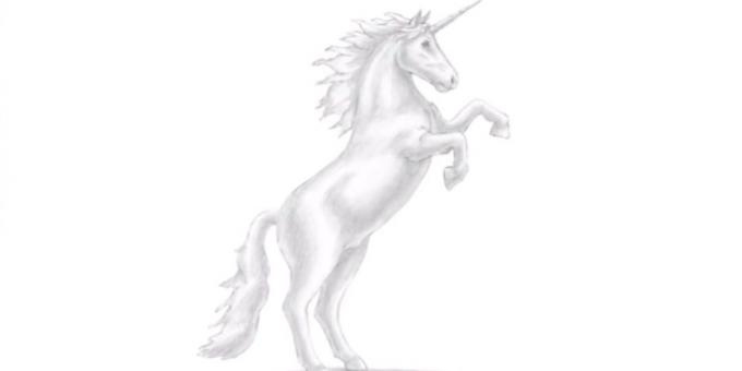 How to draw a realistic prancing unicorn