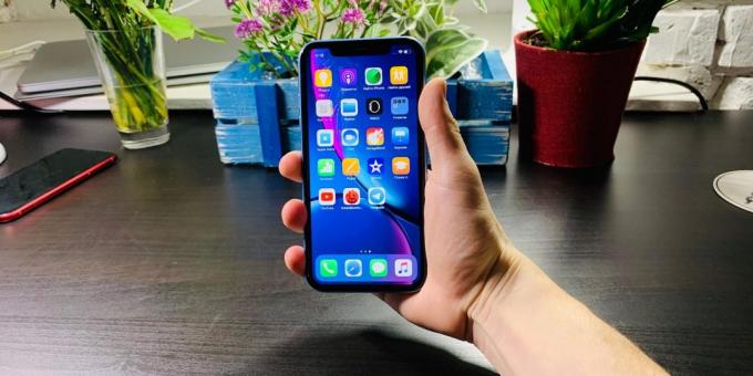 Overview iPhone XR: the situation in hand