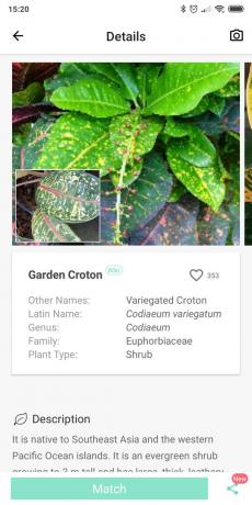 Identify types of indoor plants using PictureThis