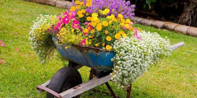 How to make a flower bed of old things with their own hands