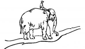 An unusual approach to creating good habits: point the rider, motivate the elephant and forms a path