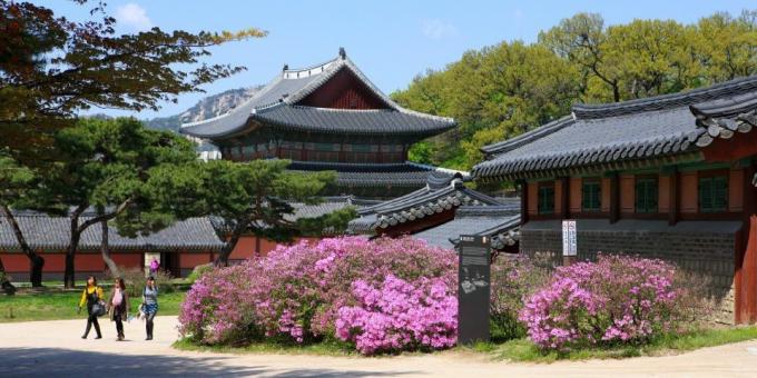 Attractions South Korea