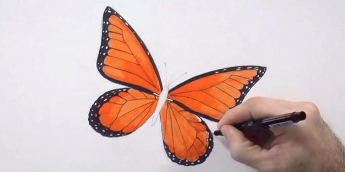 Paint the lower edges of the wings and the small black circle pattern