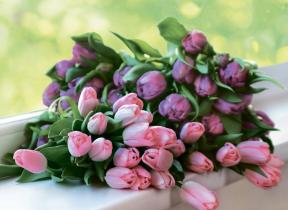 Flower etiquette, or What to tell your bouquet on March 8
