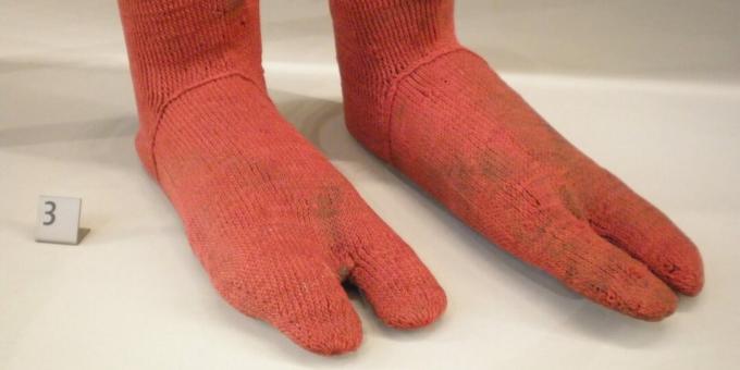 Egyptian wool socks