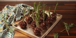 13 recipes for cheese balls for gourmets