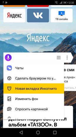 How to turn on the incognito mode "Yandex. browser "