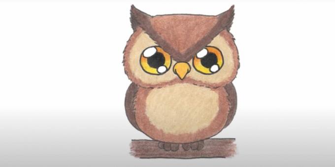 How to draw an owl: paint over the eyes, torso and head
