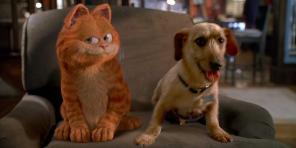 10 wonderful films about cats