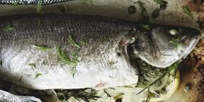 7 interesting dishes of fish from Gordon Ramsay