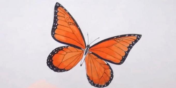 Circle the torso and diversify butterfly pattern on the wings