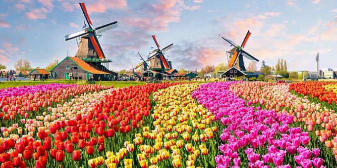 Where to go in April: Lisse, Netherlands