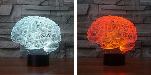 Lamp "brain"