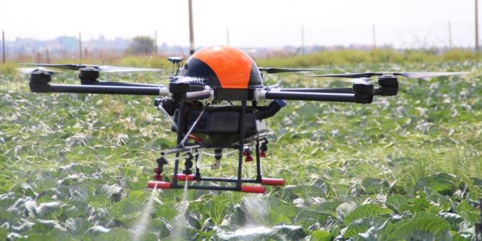 Drone helps grow plants