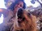 #Quokkaselfie: how to make the most touching selfie in the world