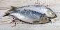 8 ways to quickly and tasty pickle herring