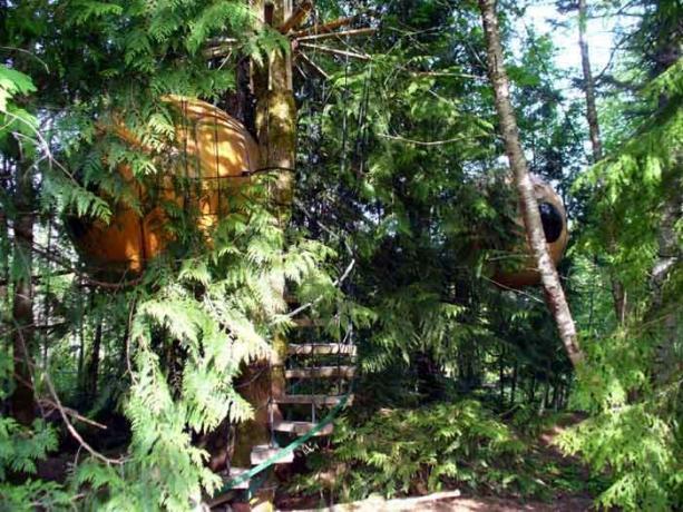 Treehouse, which can be booked