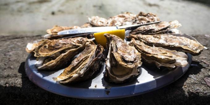 Harmful foods: oysters