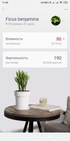 Clever flowerpot Youpin Flower Pot: smartphone management