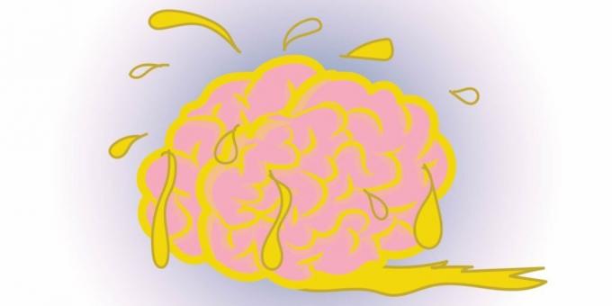 facts about the brain: the fat