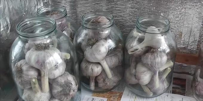 How to keep the garlic in the pot