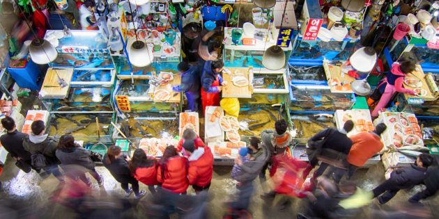 Attractions South Korea: it is necessary to visit the fish market