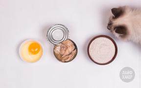 Recipes: Fish biscuits for cats