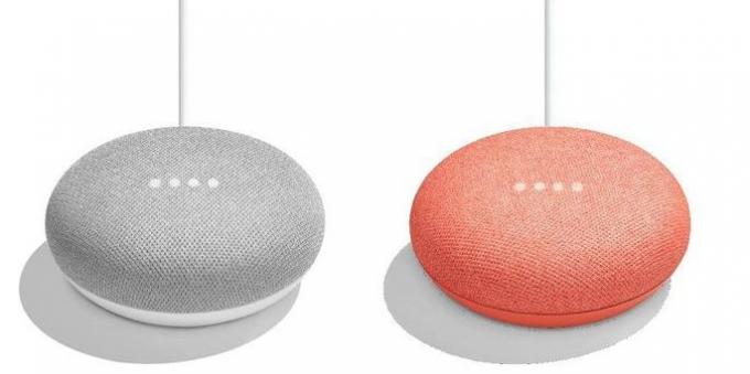 Small and large Google Home