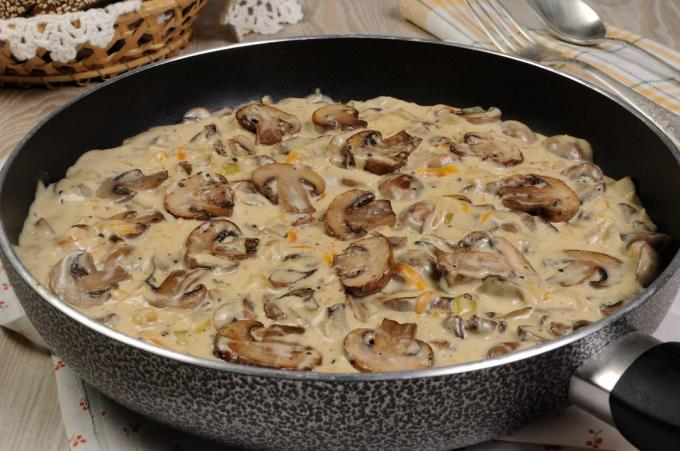 autumn recipes Honey mushrooms in sour cream